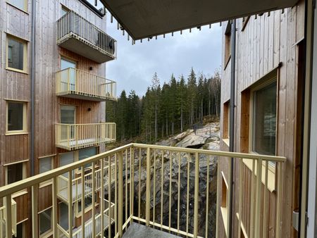 Klättergatan 9 – 2 rok (1601) - Photo 2