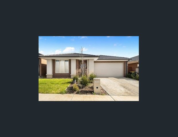 Light-Filled, Stylish Living with Space to Entertain - Photo 1