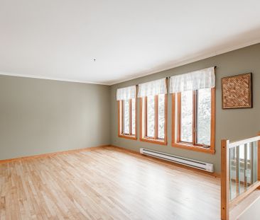 419A Rue Cherrier, Montréal - Photo 6