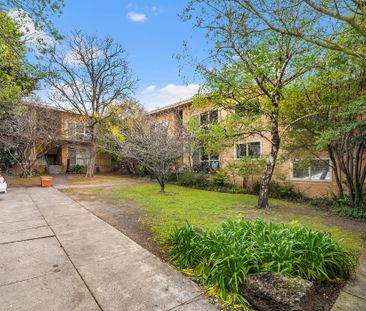 14/82 Campbell Road, Hawthorn East VIC 3123 - Apartment For Rent | ... - Photo 6