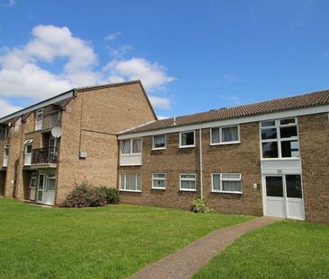 George Lambton Avenue, Newmarket, Suffolk, CB8 - Photo 5