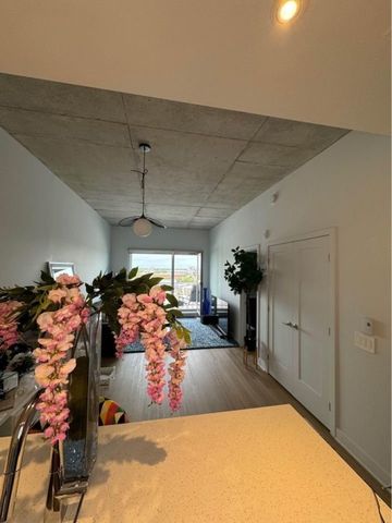 8205 Av. du Cirque, app.830, H1Z 0B5, H1Z 0B5, Montréal - Photo 5