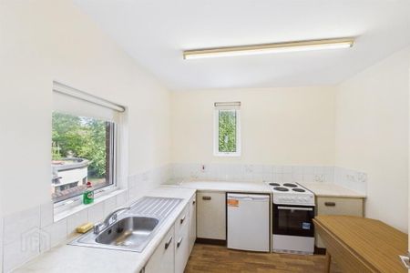 Flat 3, 90 Eglantine Avenue, Belfast, BT9 6EU - Photo 5