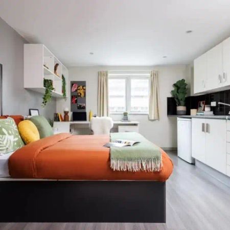 Medium High Single Ensuite: Three Bed Flat - Photo 3