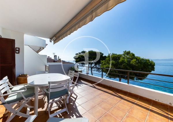 Flat for rent with Terrace in Port d’Alcúdia - Platja d'Alcúdia (Alcúdia)