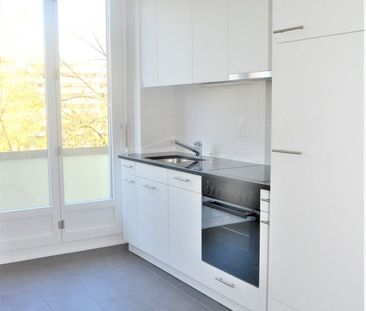 Bord de l'Arve - Foto 4