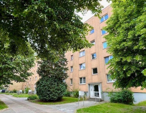 Für ihre kleine Familie - Photo 1