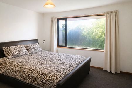 118A Selwyn Street, Somerfield - Photo 2