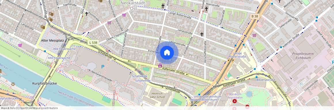 Eichendorffstraße, 68167 Baden-Württemberg - Mannheim