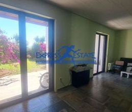 Μεζονέτα για ενοικίαση - Νέα Μάκρη, - Φωτογραφία 1