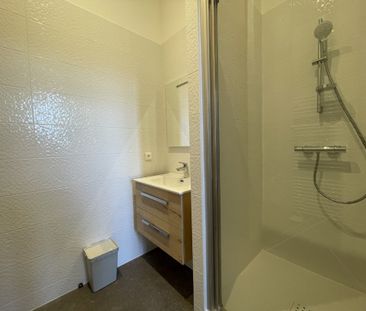 APPARTEMENT T2 A LOUER LYON 1ER ARRONDISSEMENT Griffon-Royale - Photo 6