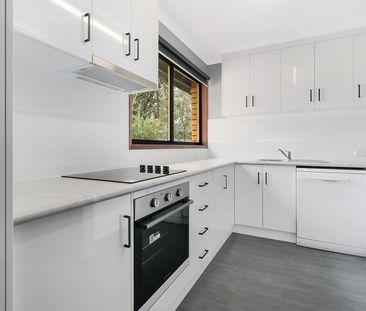Family Comfort Meets Effortless Entertaining - Photo 5