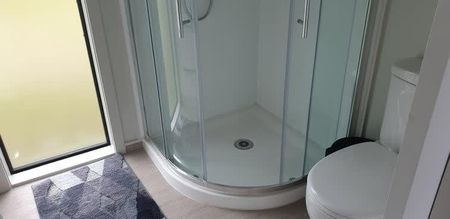 Seeking Professional Tenant(s) - Photo 5