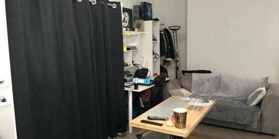 Appartement à louer, 1 pièce - Angers 49100 - Photo 3