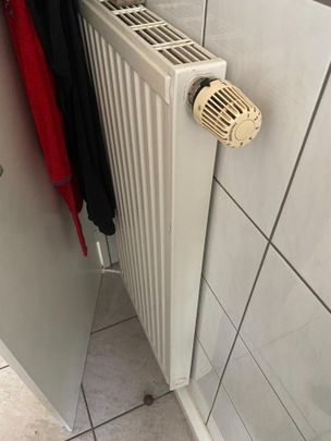 Wohnung in Hof: 2 Zimmer, Küche, Bad, Keller, Bodenabteil - Photo 1