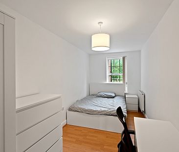 Renovated 3 Bedroom, 2 Bathroom Property Close to Uni! - Photo 3