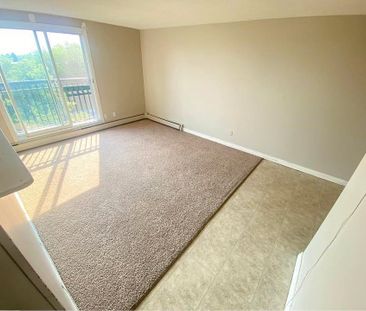 1 Bed Apartment | West Edmonton | Electricity & Water Included - Photo 6