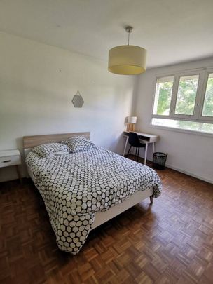 Colocation Nantes / proche Gare Sud - Photo 1