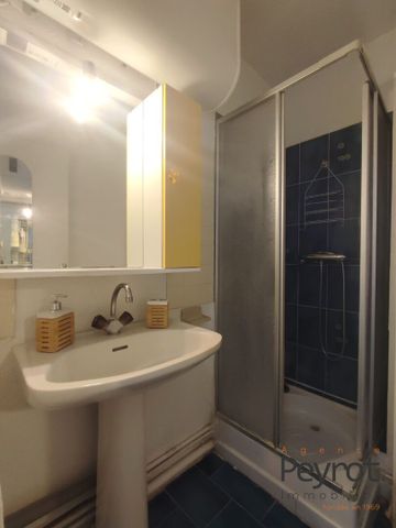 Location Appartement 1 pièce 19m² CANET EN ROUSSILLON 66140 - Photo 3