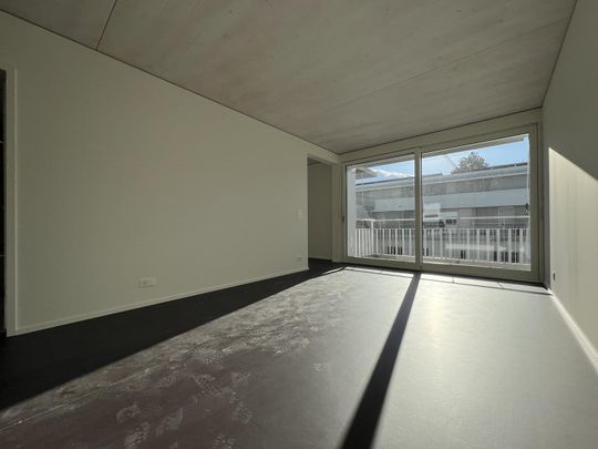 3.5 Zimmer, 68 m², 2. Stock - Foto 1