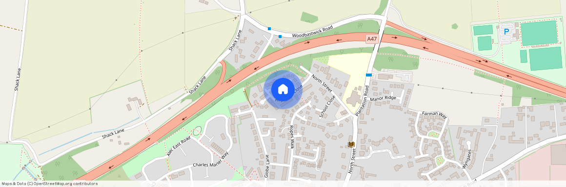 Highview Close, NR13 4RA