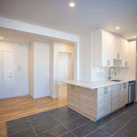 4 1/2 - Montréal (Hochelaga / Maisonneuve) - 1 995 $/mois - Photo 3