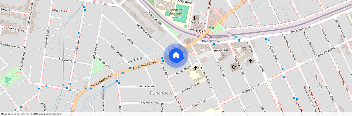 844 Punchbowl Road, Punchbowl NSW 2196