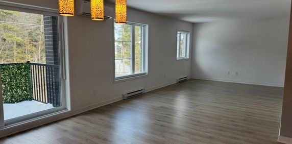 Logement 4 1/2 - Novembre 2025 - Photo 2