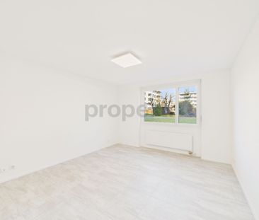 Newly renovated 2.5-room apartment with lift and cellar, Rapperswil... - Photo 2