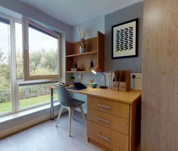 Gold Studio Plus - Photo 6