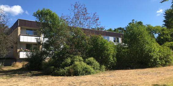 Dalsvägen, Gunnebo - Photo 3