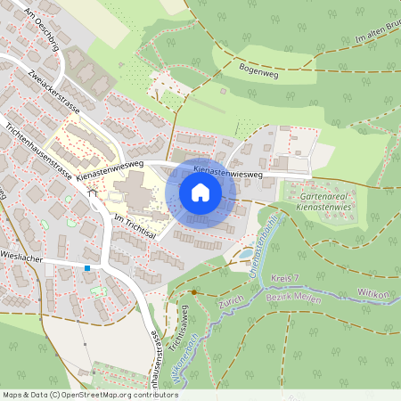 Im Trichtisal 7a, 8053 Zürich, Lageplan