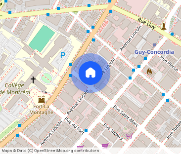 2205 Rue Saint-Marc - 1M - Photo 1