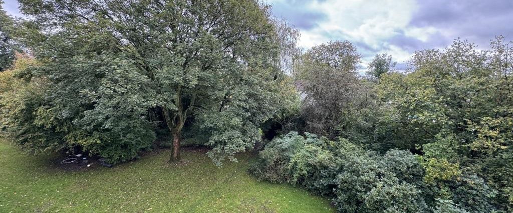 Demnächst frei! 3-Zimmer-Wohnung in Gelsenkirchen Hassel - Photo 1