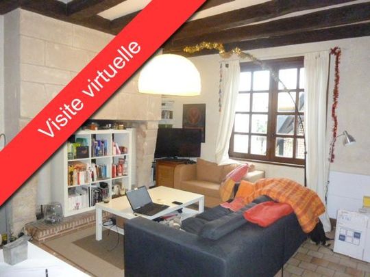 Location Appartement 1 pièce 45m² TOURS 37000 - Photo 1