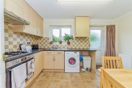 Blackthorn - Photo 4