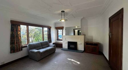 Spacious and sunny in St Clair! - Photo 2