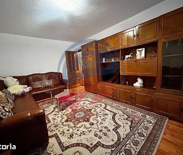 Apartament cu 2 camere de inchiriat in Lapus/Sucpi - Fotografie 3
