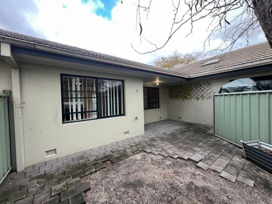 3/574 Ebden Street, Albury NSW 2640 - Apartment For Rent | Domain - Photo 1