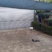 Moonee Ponds - Photo 1