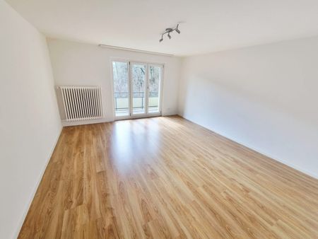 3 Zimmer, EG - Photo 5