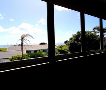 Family Fun on Corokia - Photo 1