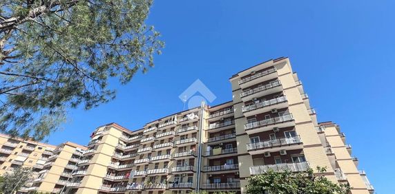5 locali in affitto - Photo 2