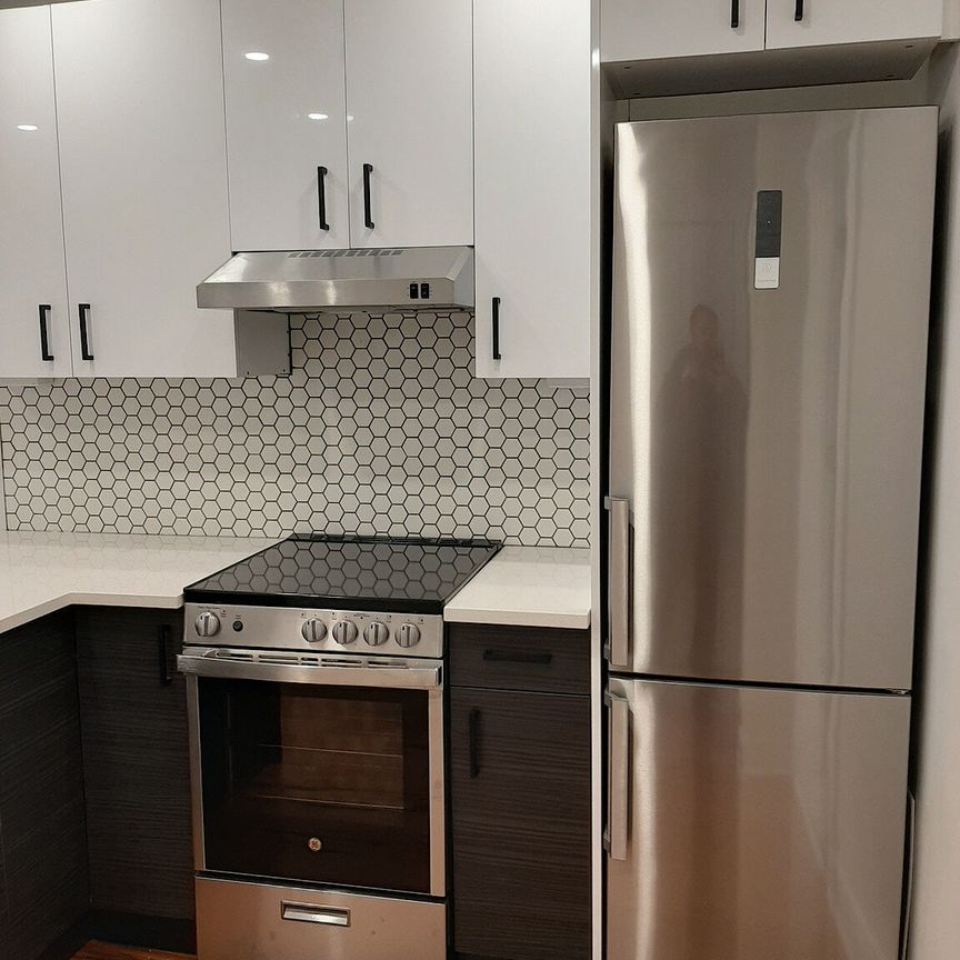 1085 Mistral, Montréal, QC - Photo 1