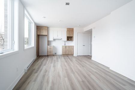 Condo for rent, Montréal (Rosemont/La Petite-Patrie) - Photo 5