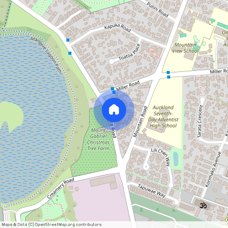 189 Wallace Road, Mangere Bridge, Manukau City