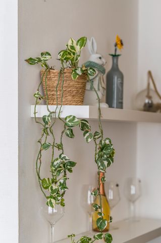 Te huur top studio in Gent - Photo 2