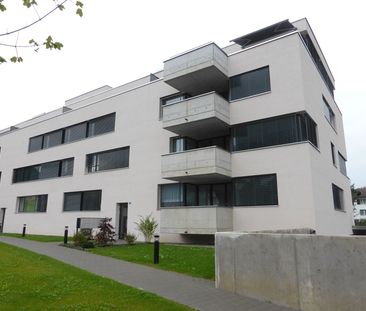 MODERNE Wohnung am Stadtrand von Flawil - Foto 5