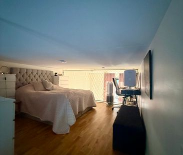 Storseglet, Vega - Foto 3