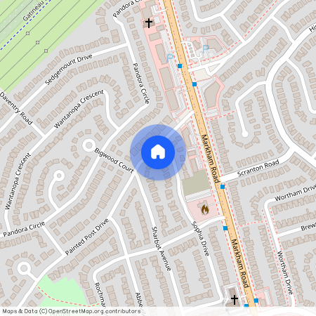 163 Painted Post Drive, Toronto